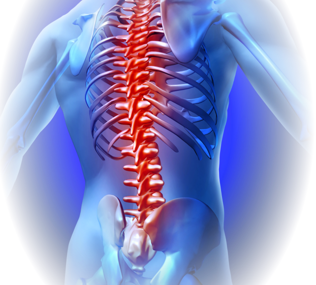 backbone pain